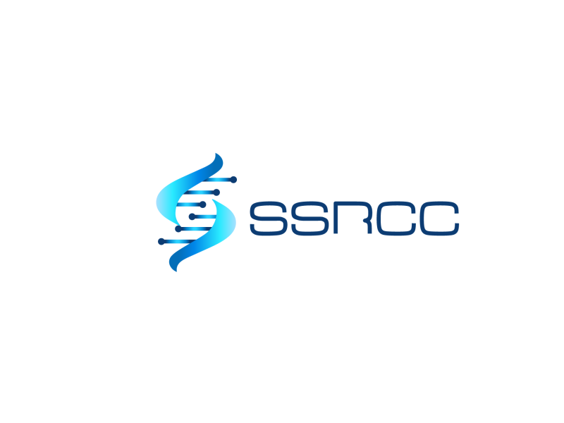 RSC96细胞专用培养基