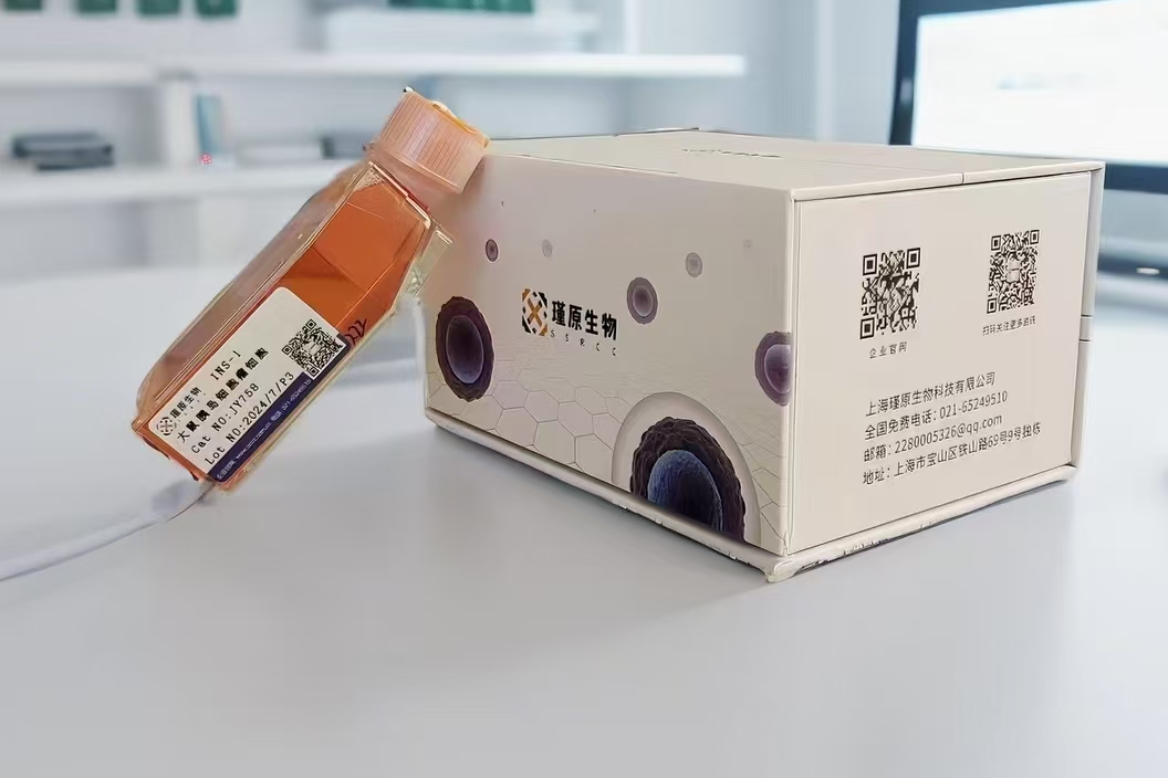 人非小细胞肺癌奥希替尼耐药株HCC-827+Osimertinib 